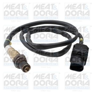 Oxygen Sensor